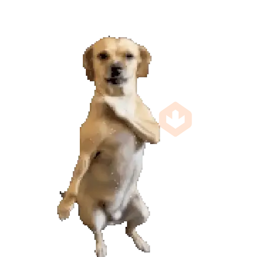 Cachorros divertidos sticker 11