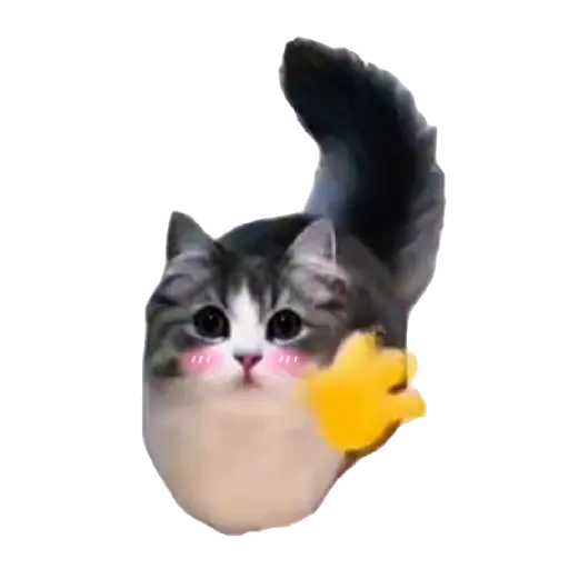 Gatinhos oi tchau sticker 11