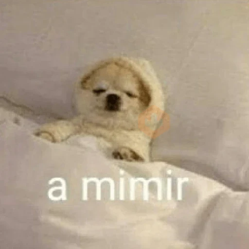 Que friooooo sticker 14