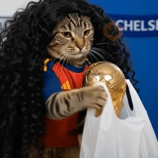 Gato Cucurella😹🇪🇸 sticker 15