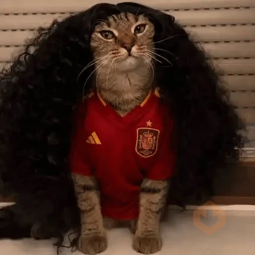 Gato Cucurella😹🇪🇸 sticker 21