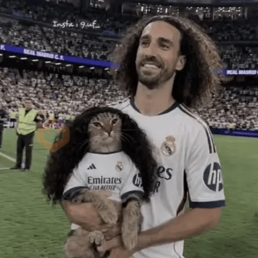 Gato Cucurella😹🇪🇸 sticker 20