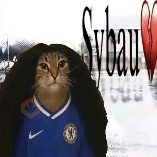 Gato Cucurella😹🇪🇸 sticker 19