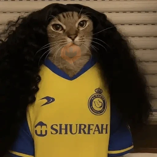 Gato Cucurella😹🇪🇸 sticker 18