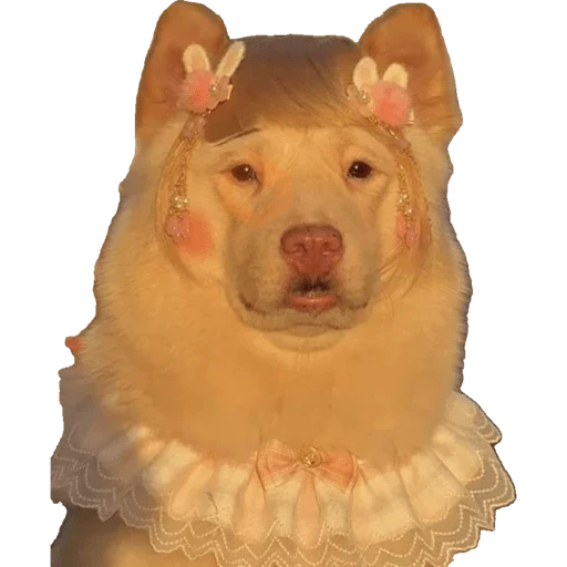 La Rosalía sticker 18