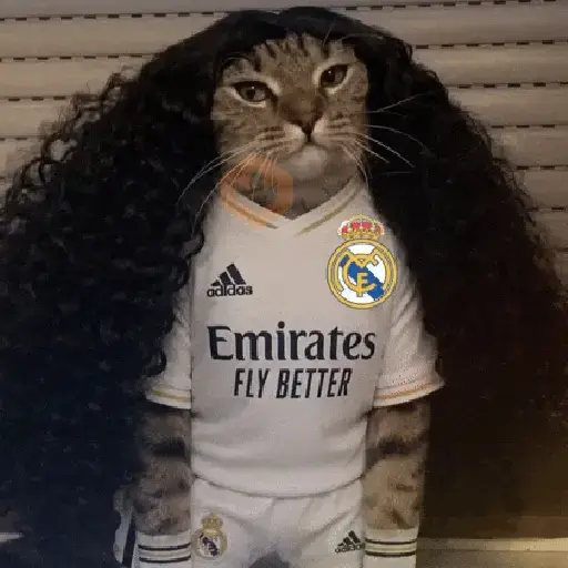 🇪🇸⚽️ CUCURELLA 2 ⚽️🇪🇸 sticker 18