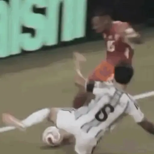 Lisandro "Licha" Martínez 🇦🇷⚽️✨ sticker 11