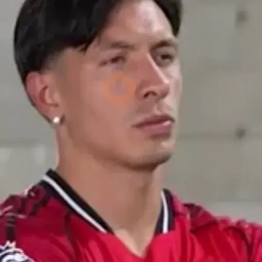 Lisandro "Licha" Martínez 🇦🇷⚽️✨ sticker 18
