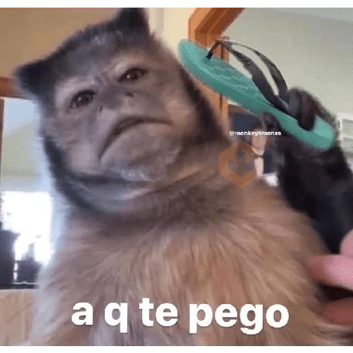 TikTok Reacciones #7 ☁️ sticker 11