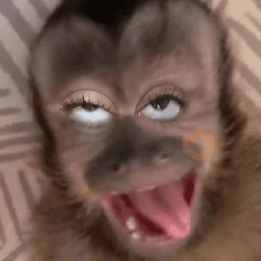 TikTok Reacciones #7 ☁️ sticker 17
