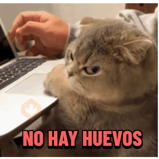 Memes Daftical #1 sticker 19