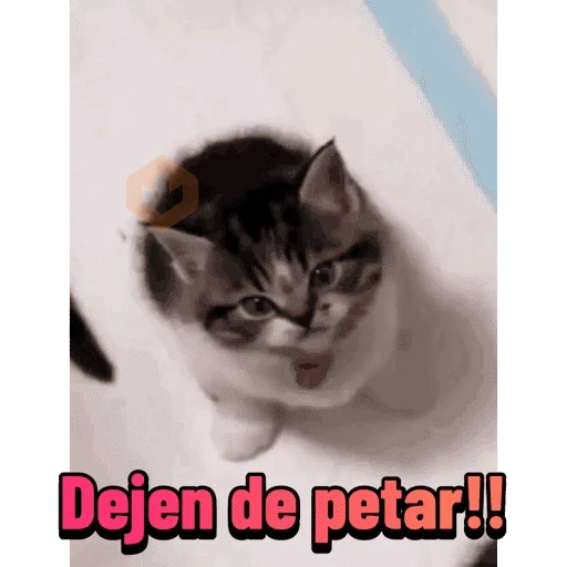 Memes Daftical #1 sticker 28