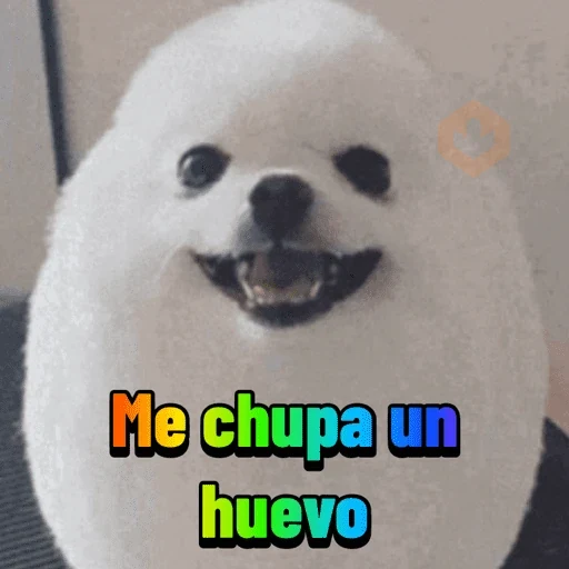 Memes Daftical #1 sticker 27