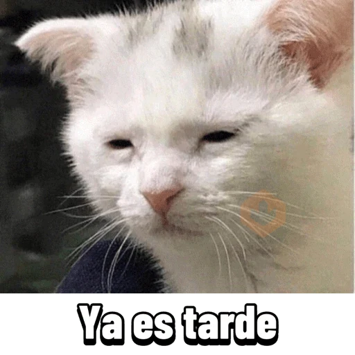 Memes Daftical #1 sticker 29