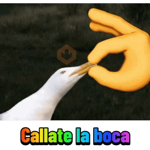 Memes Daftical #1 sticker 26