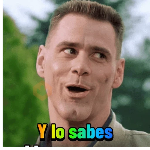 Memes Daftical #1 sticker 24