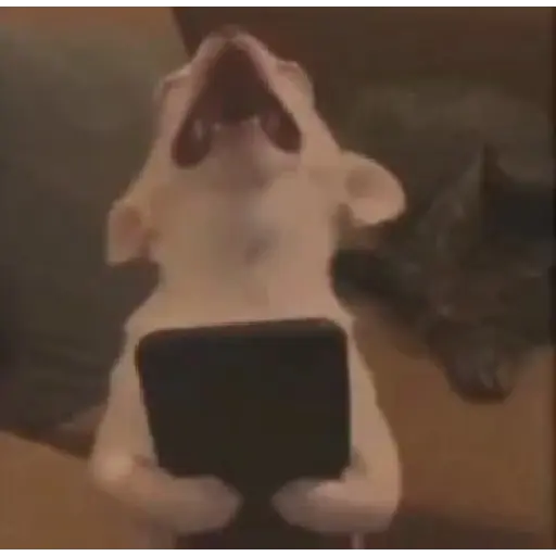Tiktok random stickers2 sticker 15