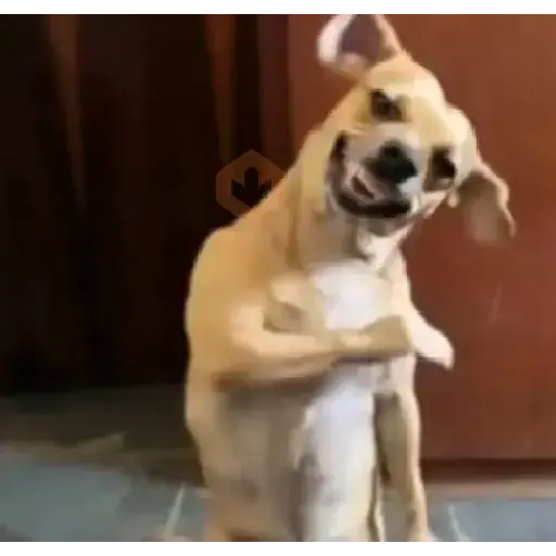 Tiktok random stickers2 sticker 18