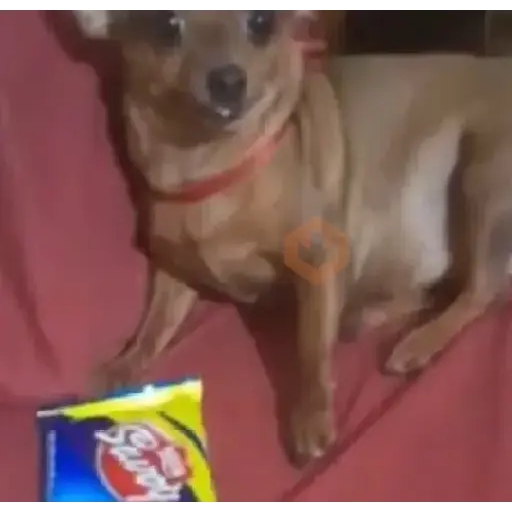 Tiktok random stickers2 sticker 14