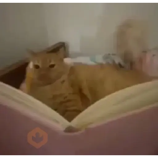 Tiktok random stickers2 sticker 12