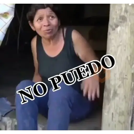 Doña lety sticker 17