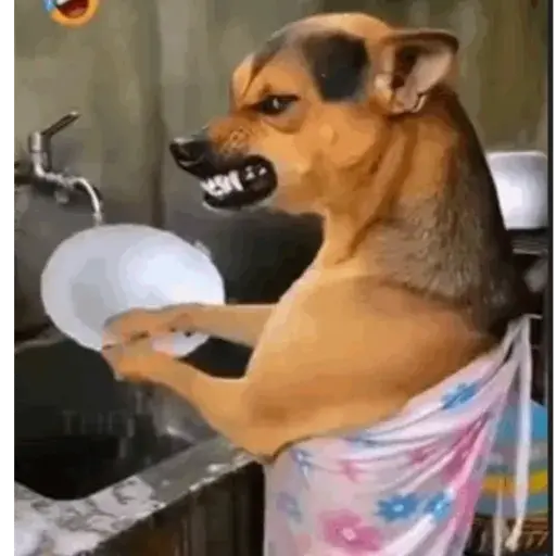 Tik tok sticker 16