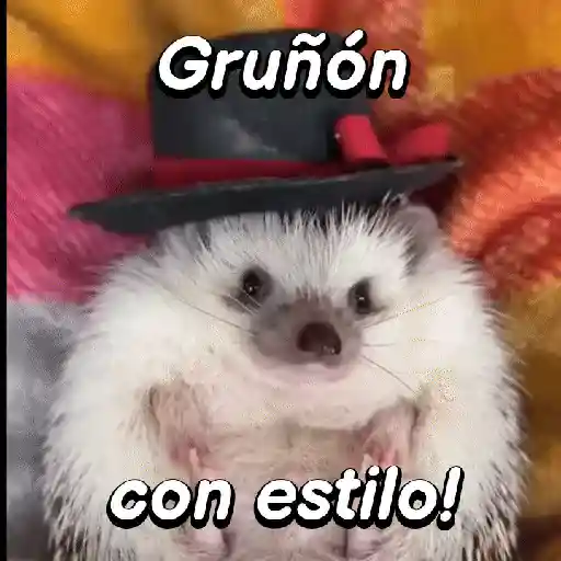 Pequeño Erizo frases 🦔💬 sticker 12