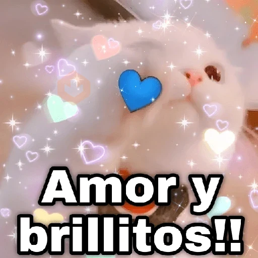 Gatos con amor 5 😻🪄💖 sticker 28
