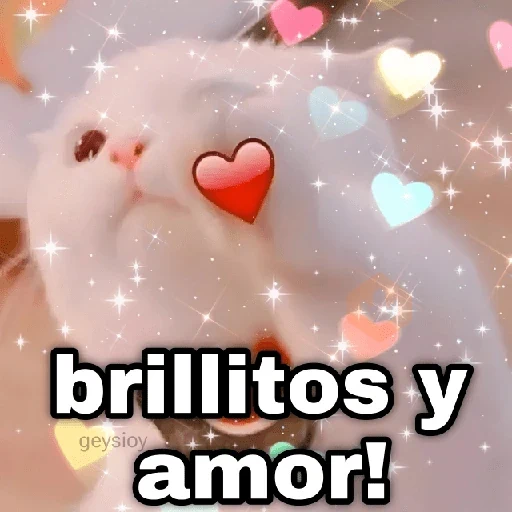 Gatos con amor 5 😻🪄💖 sticker 29