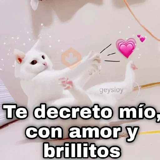 Gatos con amor 5 😻🪄💖 sticker 26