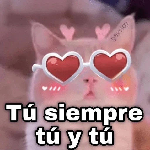 Gatos con amor 5 😻🪄💖 sticker 30