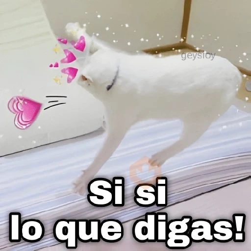 Gatos con amor 5 😻🪄💖 sticker 25