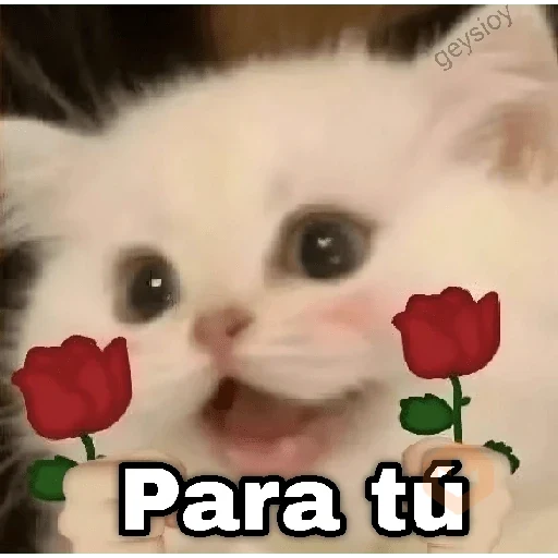Gatos con amor 5 😻🪄💖 sticker 21