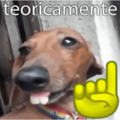 Doguinhos sticker 11