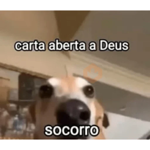 Doguinhos sticker 14