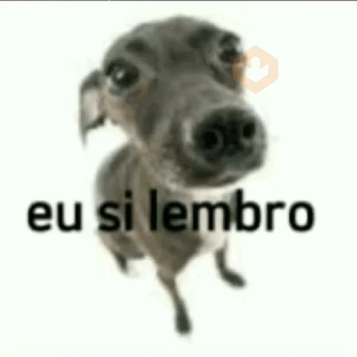Doguinhos sticker 15