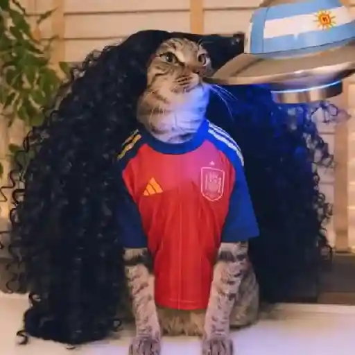 🇪🇸⚽️🐈 GATO CUCURELLA 🐈⚽️🇪🇸 sticker 13