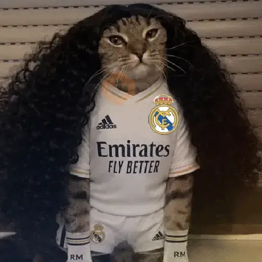 🇪🇸⚽️🐈 GATO CUCURELLA 🐈⚽️🇪🇸 sticker 18