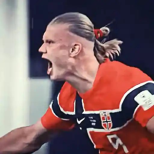 Erling Haaland 🔝 Reações sticker 23