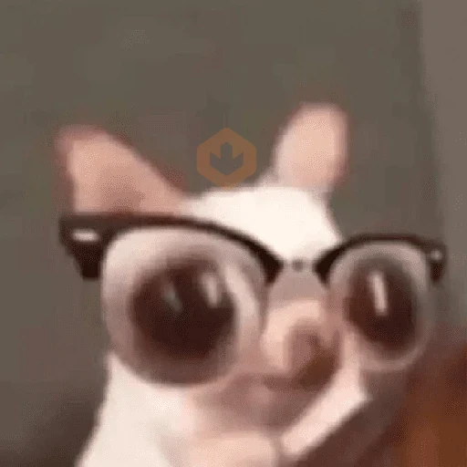 TikTok Reacciones #6 ❌ sticker 13
