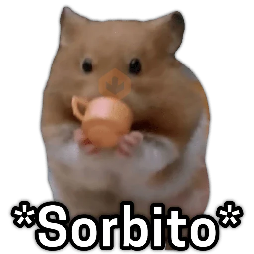 🥳MEMES time⏰ sticker 18
