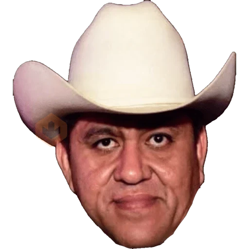 Otros alv sticker 20