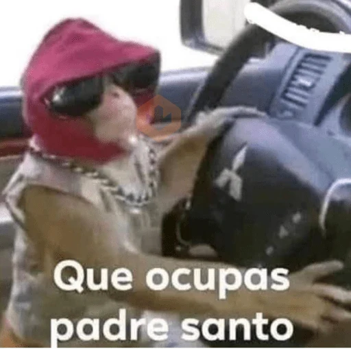 Otros alv sticker 18