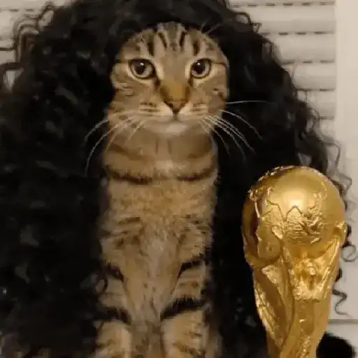 GATO 🐱 CUCURELLA sticker 11