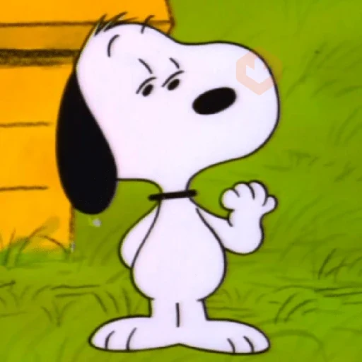 ✨🐾Snoopy 5✨🐾 sticker 15