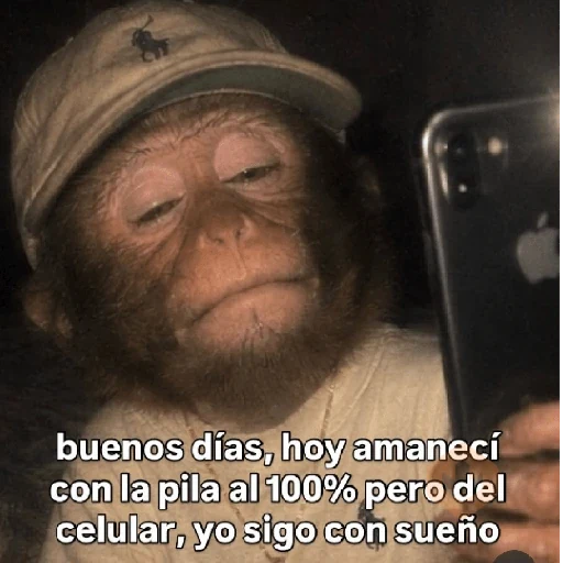 🧿 Monitos 🐒🐵 sticker 21