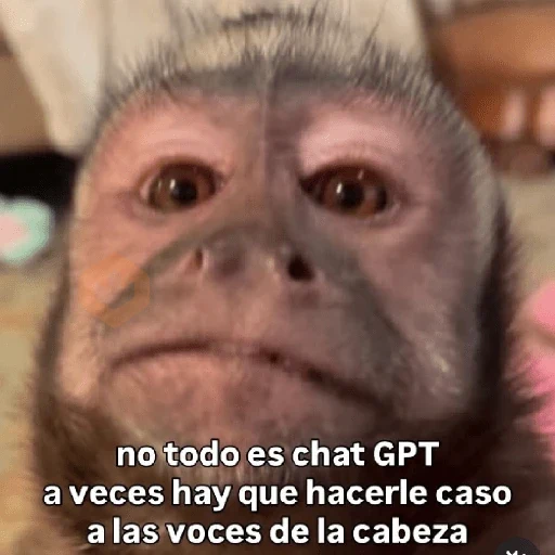 🧿 Monitos 🐒🐵 sticker 20