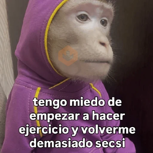 🧿 Monitos 🐒🐵 sticker 26