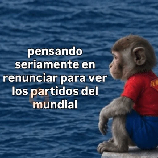 🧿 Monitos 🐒🐵 sticker 16