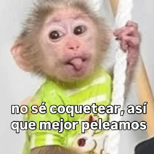 🧿 Monitos 🐒🐵 sticker 19